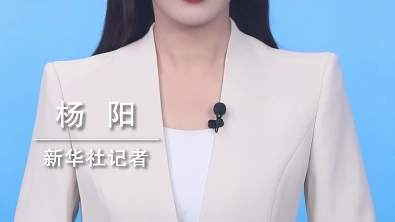 Power BI 数据可视化：解析其价值与成本考量